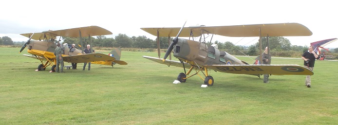 Tiger Moths at Darley Moor